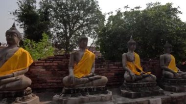 Ayutthaya 'daki Buda heykellerinin panoramik görüntüsü