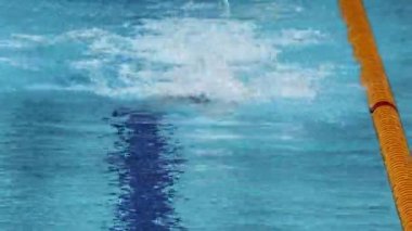 Sporcu bir yarışma havuzunda yüzüyor