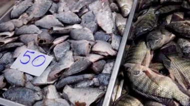 Pazar masasında sıralanan çeşitli balıklar.