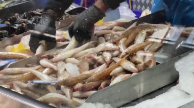 Melbourne pazarında balık sıralayan işçiler