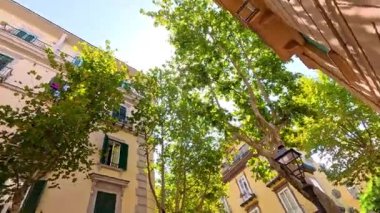 Binalara ve ağaçlara bakıyorum.