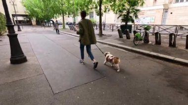 Ağaçlarla kaplı bir caddede köpek gezdiren biri.