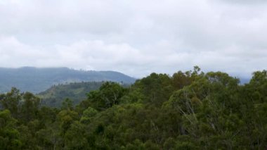 Yoğun, yeşil bir ormanın üzerinde hareket eden bulutlar