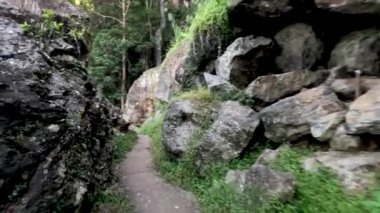 Kayalık arazide ve yeşillikte dar bir yol.