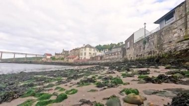 Deniz yosunlarıyla kaplı bir sahilde sular çekiliyor.