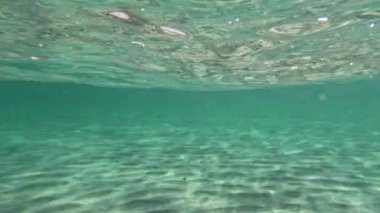 Dromana İskelesinde temiz su ve kumlu taban