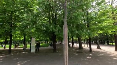 İnsanlar parkta yürüyor ve dinleniyor.