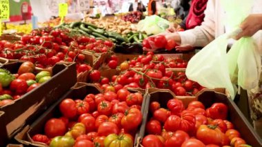 Kraliçe Victoria Pazarı 'nda domates seçen kişi