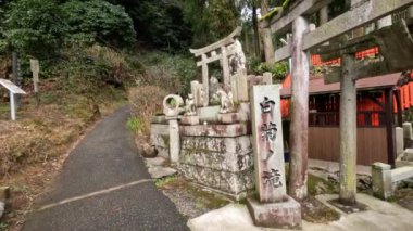 Huzurlu bir Shinto tapınağı yolunda bir yürüyüş