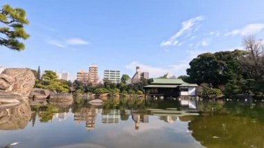 Sakin su, bir şehir parkındaki ağaç ve binaları yansıtır..