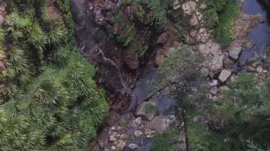 Nehir ve kayalık arazili yemyeşil yağmur ormanı