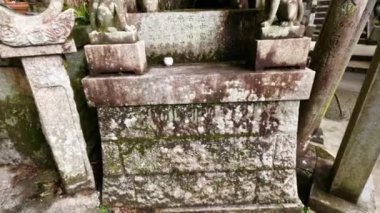 Huzurlu bir tapınak, Torii kapılı