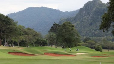Golfçüler sakin bir ortamda oyun oynuyorlar.