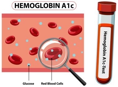 Kan hücrelerinin ve glikoz seviyelerinin çizimi