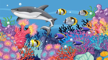 Renkli deniz yaşamı mercan resiflerinde gelişiyor.