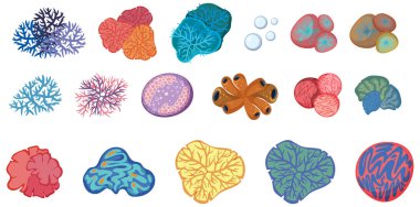 Değişik okyanus yaşamlarına sahip canlı deniz canlıları