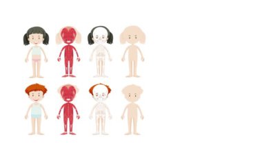 Çocuklarda insan kas sistemini resmediyor