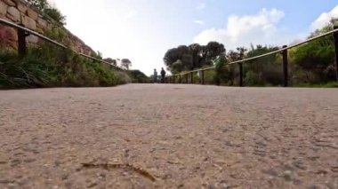 Büyük Okyanus Yolu 'nda yürüyen çift