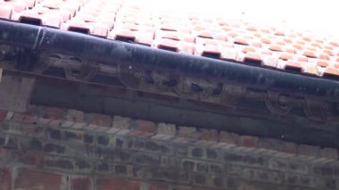 Görüntü dizisi üzerinde görünür bir değişiklik yok.