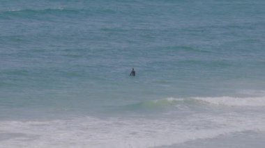 Bir sörfçü mükemmel dalgayı bekler.