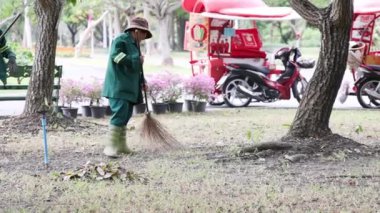 Parktaki ağaçların altındaki yaprakları süpüren işçiler.