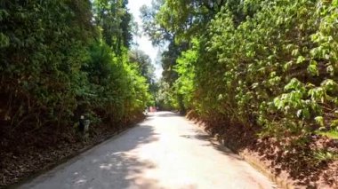 Napoli, İtalya 'da sakin bir bahçe yolu