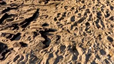 Ayak izleri kumlu Brighton sahiline saçılmış.