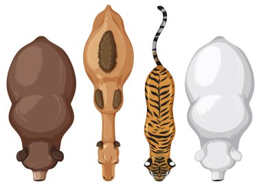 Top-down illustration of four different animals clipart