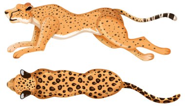 Dinamik vektör çiziminde koşan iki çita.