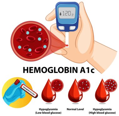 Kan şekeri ölçümü ve seviyelerinin çizimi