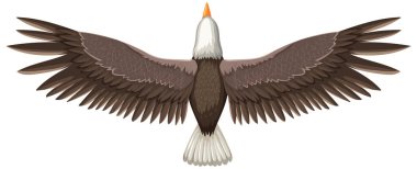Kanatları açık, yukarıdan bakan bir kartal