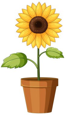 Terracotta tenceresinde canlı bir ayçiçeğinin vektör çizimi, neşeli bir tasarım için parlak renkler ve temiz çizgiler sergiliyor.