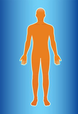 Mavi gradyan arkaplan merkezli turuncu insan siluetinin vektör çizimi, anatomik form ve simetriyi vurguluyor