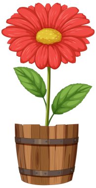 Kırsal bir tencerede yeşil yapraklı parlak kırmızı çiçek. Kalın renkleri ve temiz çizgileri olan vektör biçimi