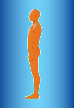 Yan görünümde, anatomik yapı ve duruşu vurgulayan, gradyan mavi arkaplanı olan bir insan figürünün silueti