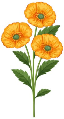 Detaylı yaprakları ve yeşil yaprakları olan parlak turuncu çiçekler. Botanik tasarımlar ve doğa temaları için mükemmel.