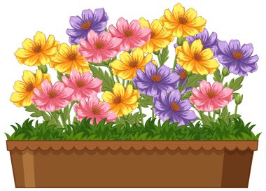 Ahşap bir saksı içinde renkli çiçekler, pembe, sarı ve mor çiçekli yemyeşil yapraklar