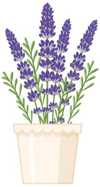 Krema kabındaki lavanta bitkisinin vektör çizimi. Canlı mor çiçekler ve temiz bir tasarımı olan yeşil yapraklar.