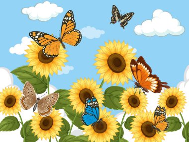 Canlı kelebekler, açık mavi bir gökyüzünün altında tüylü bulutlarla birlikte ayçiçeklerinin etrafında çırpınırlar. Canlı renkleri ve detaylı bileşimi olan vektör illüstrasyonuName