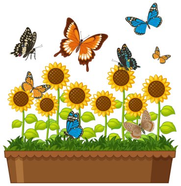 Renkli kelebekler ay çiçeklerinin etrafında canlı ve neşeli bir kompozisyona sahip parlak, detaylı bir vektör çizimi ile çırpınırlar.