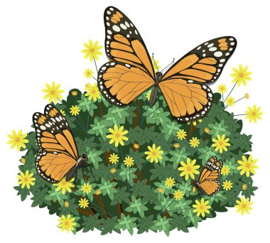 Canlı sarı çiçekleri olan yemyeşil bir çalılıktaki kral kelebeklerinin vektör çizimi ayrıntılı kanatları ve doğal güzelliği sergiliyor.