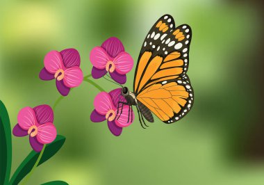 Yumuşak odaklı yeşil arka planı olan canlı pembe orkideler üzerinde dinlenen bir kral kelebeğinin vektör çizimi