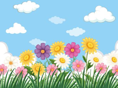 Parlak mavi gökyüzü ve kabarık bulutlarıyla çimenli bir tarlada canlı kır çiçekleri. Kalın renkleri ve temiz çizgileri olan vektör illüstrasyonu