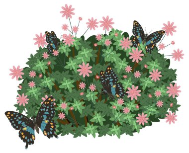 Kelebeklerin canlı pembe çiçeklerle yemyeşil yaprakların üzerinde dinlenen vektör çizimi. Doğal elementlerle detaylandırılmış, renkli bileşim