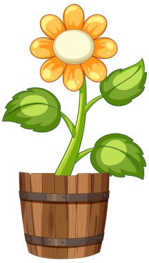 Kırsal ahşap bir tencerede parlak yeşil yaprakları olan bir ayçiçeğinin parlak vektör çizimi. Basit ve renkli tasarım