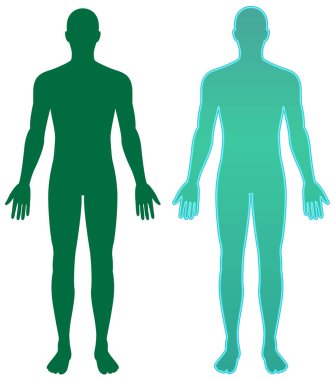 İki insan silueti, vektör illüstrasyonunda anatomik form ve simetriyi vurgulayan, eğimli efektlerle zıt yeşil tonlarda