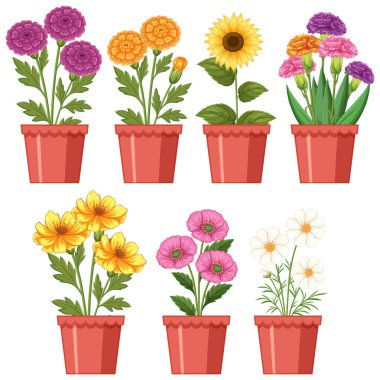 Vibrant vector illustration of various potted flowers with detailed leaves and petals, showcasing a diverse range of colors and styles