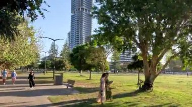 İnsanlar yeşil bir parkta güneşli bir günün tadını çıkarıyorlar.