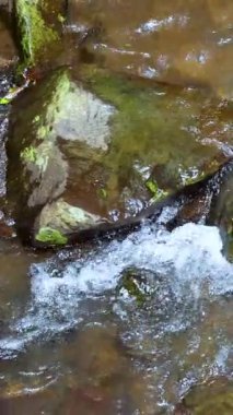 Sakin bir dere, yosun kaplı kayaların üzerinden akar. Yumuşak su hareketi ve hafif ışıklandırmayla sakin bir doğal manzara yaratır.