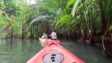 Çift kişilik bir kanoyla yemyeşil su yollarını keşfediyorum.